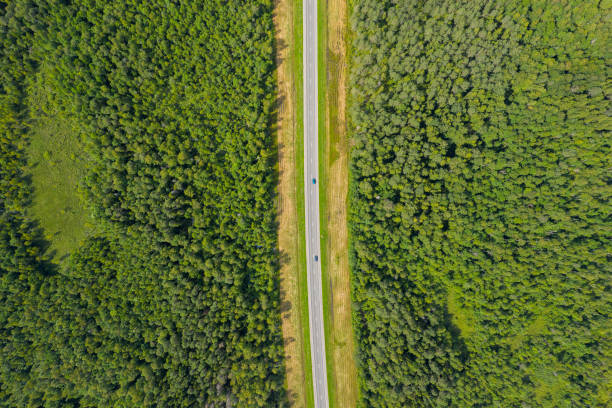 istock Aerial top view on country road 1406528026