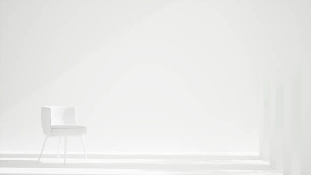 empty white room interior with single chair, sunlight and plant shadows