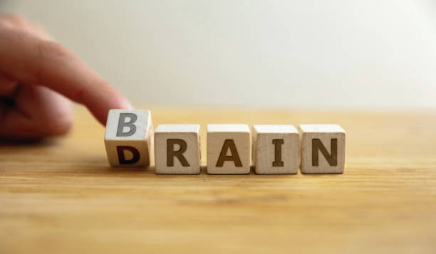 istock Brain drain concept. Finger  flips letter at wooden cube changing the word brain to drain. 1406531932