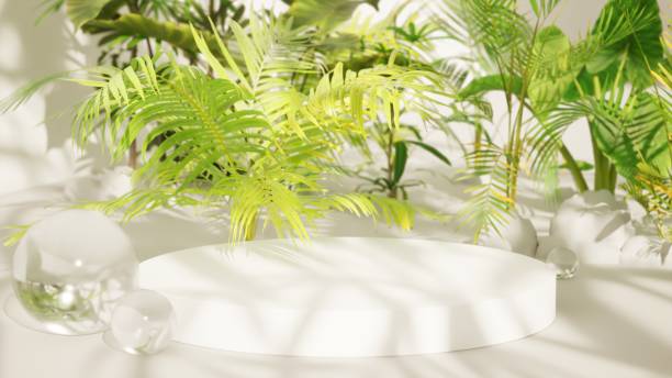 istock tropical light background with white pedestal and tropical plants,3d render 1406533048