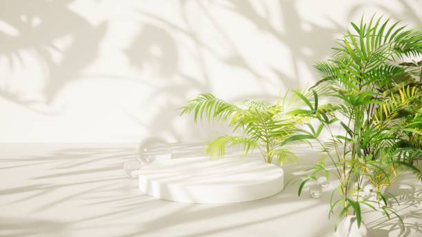 istock tropical light background with white pedestal and tropical plants,3d render 1406536109