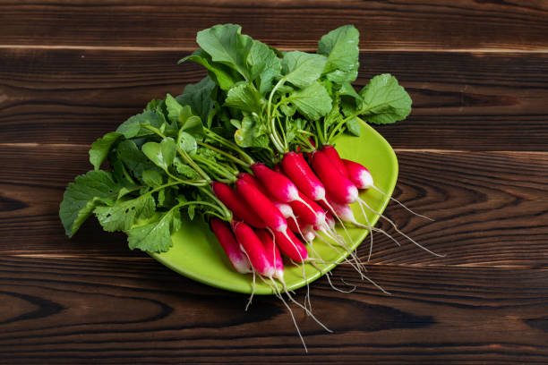 istock Summer harvested red radish. Growing organic vegetables. 1406537176