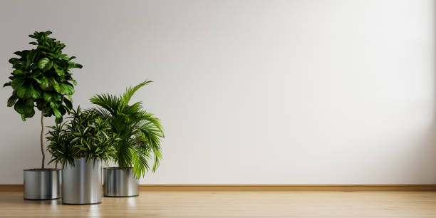 istock Empty room with plant in living room interior. 1406538452