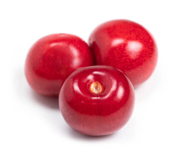 Morollo 990+ Morello Cherry Stock Photos, Pictures & Royalty-Free Images - iStock
