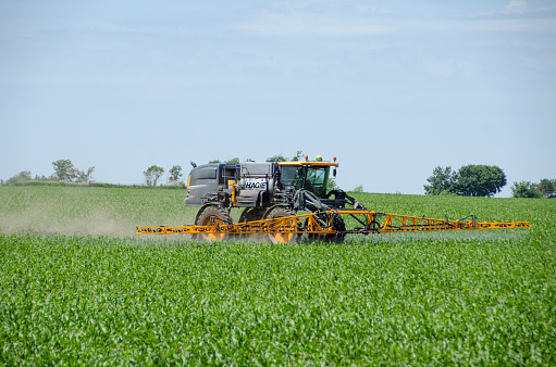 Spraying field of corn using a Hagie STS12 self-propelled sprayer. Iowa, USA.