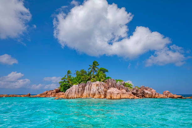 Snorkeling trip with excursion boats in front of the small island of St. Pierre near Praslin. Ile St. Pierre is an uninhabited island of the Seychelles. It is located north of the island of Praslin in the east of Curieuse Island on the edge of the Curieuse Marine National Park. The distance from the island to Pointe Zanguilles on Praslin is 1.5 km. The waters around Île St. Pierre are a firm favourite with swimmers, snorkellers and yachtsmen for whom the island provides the ideal backdrop to a spectacular Seychelles sunset. One of several islands in the bay of Côte d'Or on Praslin, this tiny islet with its granite profile interspersed with some Coconut palms has come, over the years, to represent the quintessential Seychelles island, appearing in numerous advertisement campaigns, posters and evocative photographs.