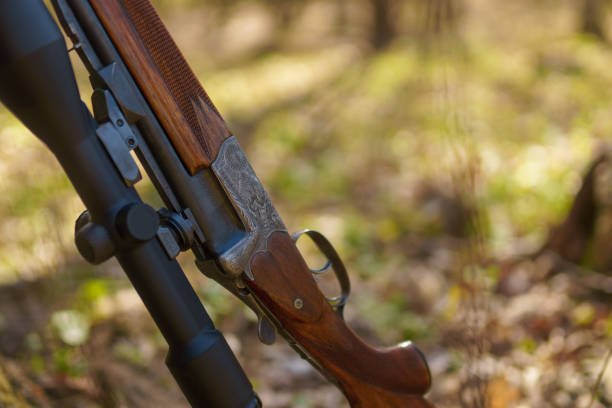 istock Hunter's rifle gun near tree in forest. 1406542635