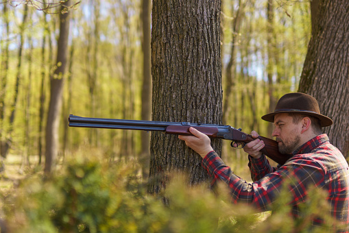 A hunter man aiming with rifle gun on prey in forest.