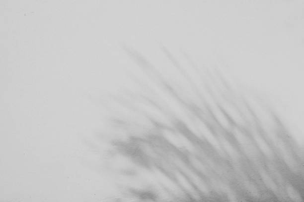 istock stone texture for backgrounds image photo stock 1406543947