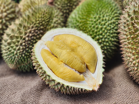 Mouth watering fresh durian fruit season.