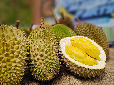 Mouth watering fresh durian fruit season.
