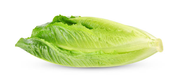 istock Fresh green cos lettuce isolated on white 1406547185