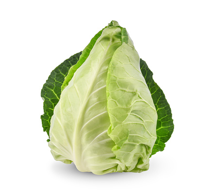 Savoy cabbage - close-up