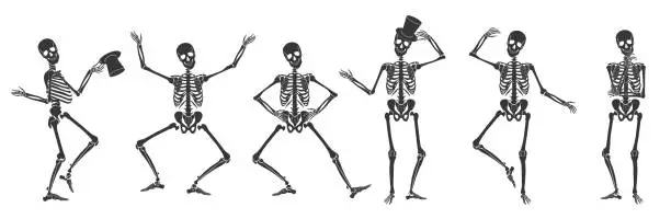 Vector illustration of Dancing Human bones skeletons. Different skeleton poses set isolated