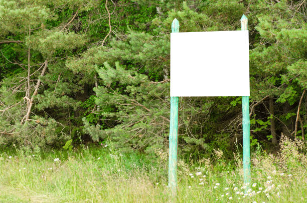 istock A white empty billboard in the forest among the trees. Summer, copy space. 1406552346