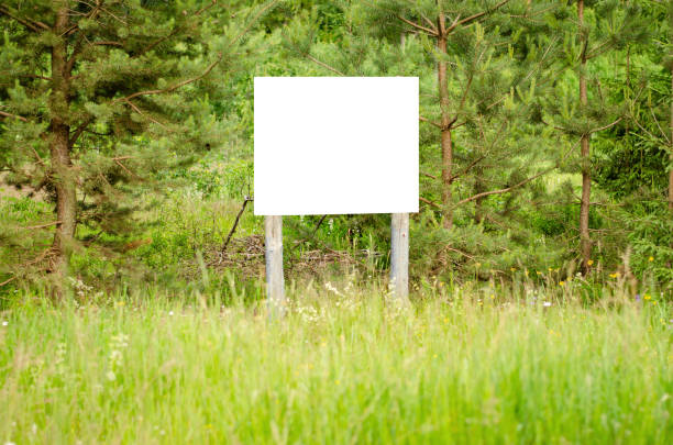 istock A white empty billboard in the forest among the trees. Summer, copy space. 1406552347