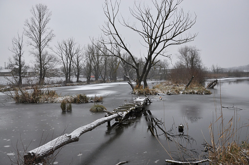 Winter landscape on a frozen lake with trees and a bridge