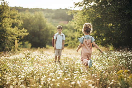 Schoolboy and his little sister having fun together on a meadow in nature.