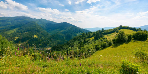 istock mountain landscape on a sunny day 1406553331