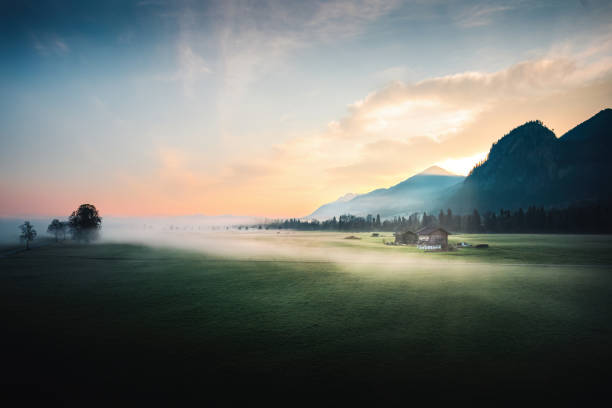 Foggy Morning Landscape during Sunrise This is a photo of a beautiful foggy morning, photographed during sunrise in a German landscape near the Castle of Neuschwanstein. allgau stock pictures, royalty-free photos & images