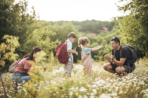 Family of four, mother and father with her little son and daughter picking flowers together on a meadow in nature.