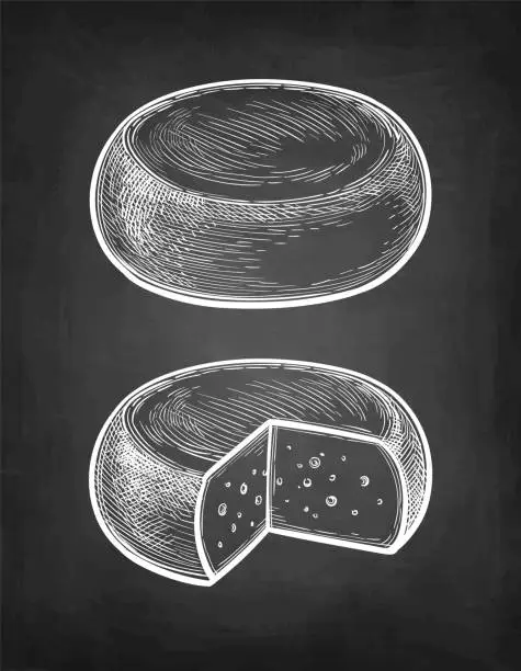 Vector illustration of Gouda cheese chalk sketch.