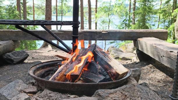 istock Photo of a campfire in forest 1406558504