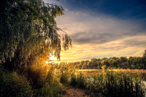 istock Summer sunrise over the river. Calm, relaxing rural landscape. 1406560664