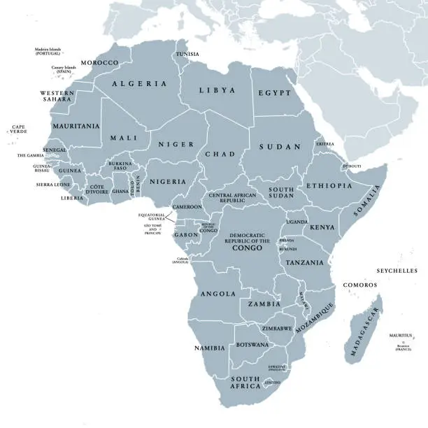 Vector illustration of Africa, single countries, gray political map