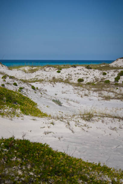 istock Sunny Beach with Sand Dunes on a Summer Day 1406561930