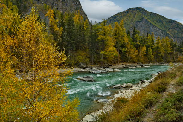 istock Golden turquoise of the Chuya River 1406562025