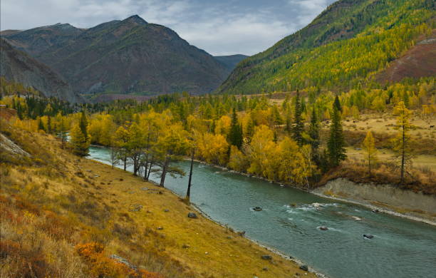 istock Golden turquoise of the Chuya River 1406562027