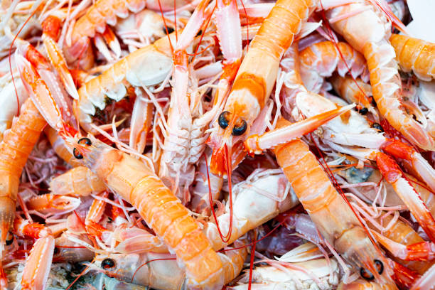 fischmarktstand mit einem tablett mit rohen und frischen scampi - scampi stock-fotos und bilder