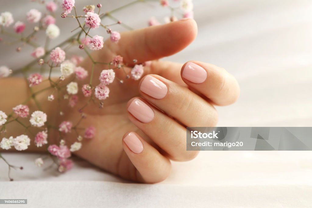 Light pink manicure on short nails . Light pink manicure on short nails with Gypsophila. Fingernail Stock Photo