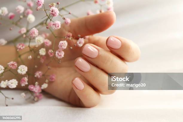 Light Pink Manicure On Short Nails Stock Photo - Download Image Now - Fingernail, Short - Length, Manicure