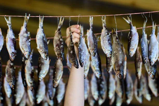 ストックフィッシュの川の魚はロープに逆さまに吊るされています。 - stockfish ストックフォトと画像