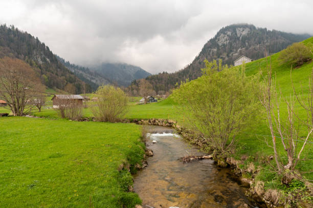 istock Small river at the Thur waterfalls in Unterwasser in Switzerland 1406572361