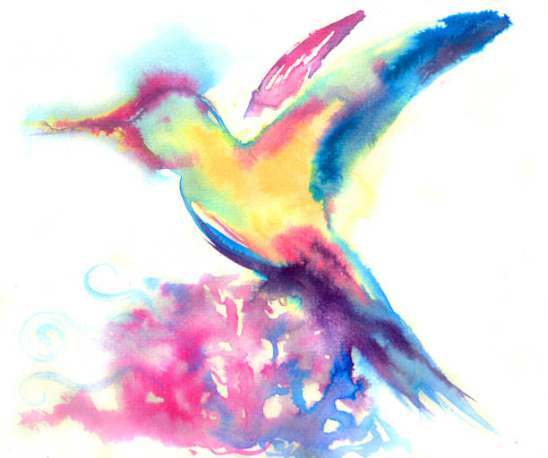 ilustraciones, imágenes clip art, dibujos animados e iconos de stock de impresionismo colibrí - watercolor painting backgrounds inks on paper messy