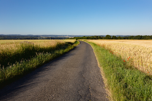 Country road surrounded by wheat fields, it is a sunny summer da with a clear blue sky,, photo was taken near Unna, in North Rhine Westfalia, Germany, file is backlit and contains lens flares