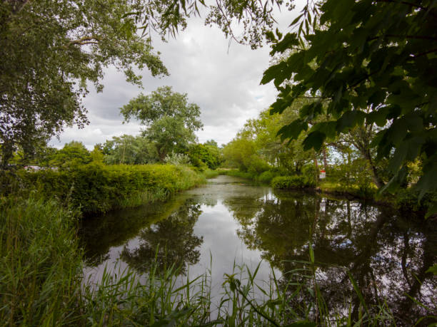 istock Lilly pond at Orford Ness 1406579130