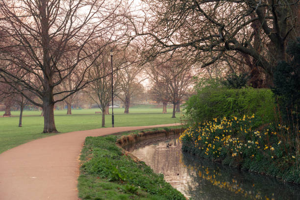 Park in Cambridge in winter