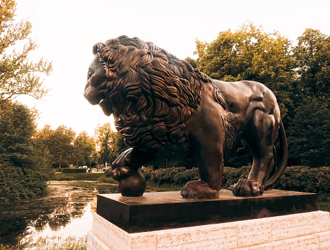 Bronze lion in the park