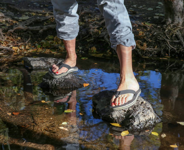 woman crossing a creek with flip flops on - wading river human foot water imagens e fotografias de stock