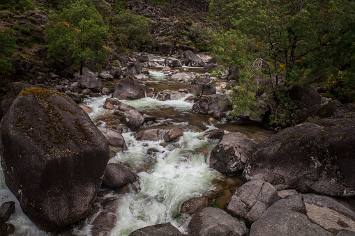 Ventisqueros River at Queulat National Park in the Chilean Patagonia, southern Chile