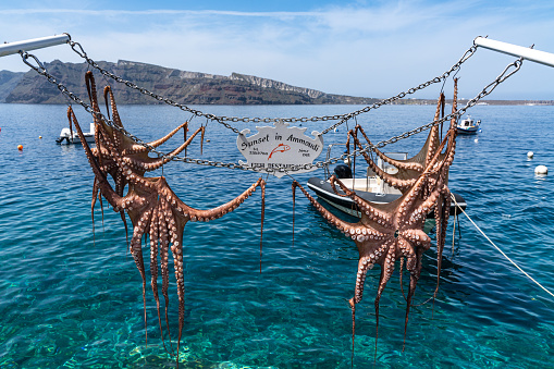 Octopus hanging in Ammoudi Bay in Oia, famous for its fish restaurants. Santorini, Greece, Apr. 2022