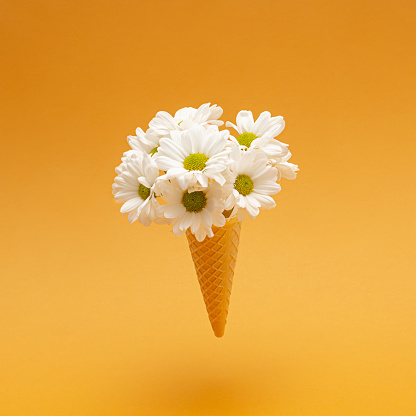 Chamomile daisy flowers in an ice cream waffle cone against gradient background from gold drop to sunshade orange color. Aesthetic floral scene.
