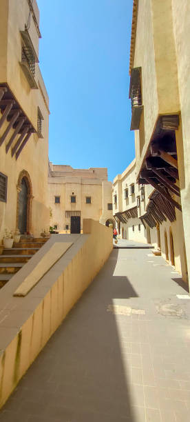 istock Palace of the Rais 1406585392