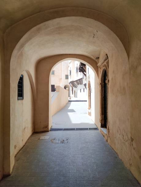 istock Palace of the Rais 1406585444