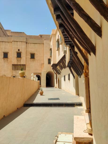 istock Palace of the Rais 1406585497
