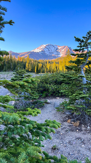 A clear summer day in Mt Shasta.